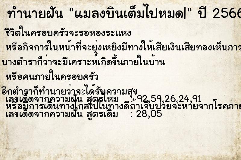 ทำนายฝัน แมลงบินเต็มไปหมด| ทำนายฝัน แมลงบินเต็มไปหมด|